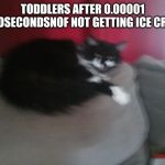 Angery Cat | TODDLERS AFTER 0.00001 NANOSECONDSNOF NOT GETTING ICE CREAM | image tagged in angery cat | made w/ Imgflip meme maker