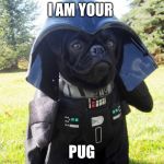 Darth Pug | I AM YOUR; PUG | image tagged in darth pug | made w/ Imgflip meme maker
