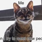 True Story | Me; when I try to meet new people. | image tagged in grinning cat,memes | made w/ Imgflip meme maker