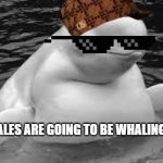 Whale | US WHALES ARE GOING TO BE WHALING HARD | image tagged in whale | made w/ Imgflip meme maker