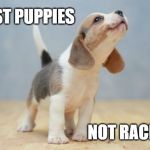 Puppies not Racism | POST PUPPIES; NOT RACISM | image tagged in puppies not racism | made w/ Imgflip meme maker