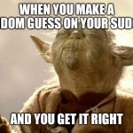 SMELLING YODA | WHEN YOU MAKE A RANDOM GUESS ON YOUR SUDOKU; AND YOU GET IT RIGHT | image tagged in smelling yoda | made w/ Imgflip meme maker