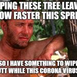Tom Hanks Castaway tree | HOPING THESE TREE LEAVES GROW FASTER THIS SPRING; SO I HAVE SOMETHING TO WIPE MY BUTT WHILE THIS CORONA VIRUS HITS | image tagged in tom hanks castaway tree | made w/ Imgflip meme maker