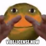 Vibe Check | VIBE LICENSE NOW | image tagged in vibe check | made w/ Imgflip meme maker
