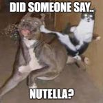 did some one say ____???? | DID SOMEONE SAY.. NUTELLA? | image tagged in did some one say ____ | made w/ Imgflip meme maker