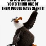silly joke | TWO BLONDS WALK INTO A BUILDING
YOU'D THINK ONE OF THEM WOULD HAVE SEEN IT! | image tagged in angry birds eagle,dad joke | made w/ Imgflip meme maker