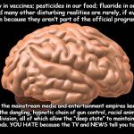Thoth al Khem | Mercury in vaccines; pesticides in our food; fluoride in our water supply – these and many other disturbing realities are rarely, if ever, acknowledged in the mainstream because they aren’t part of the official programming narrative. Instead, the mainstream media and entertainment empires keep people watching the dangling, hypnotic chain of gun control, racial animosity, and political division, all of which allow the “deep state” to maintain a control grip on people’s minds. YOU HATE because the TV and NEWS tell you to....... Thoth al Khem | image tagged in thoth al khem | made w/ Imgflip meme maker