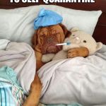 Self quarantine dog | I’VE DECIDED TO SELF-QUARANTINE; FOR 2 WEEKS | image tagged in sick as a dog,coronavirus,quarantine | made w/ Imgflip meme maker