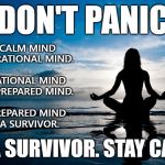 We Interrupt Today's News Feed For This Important Announcement... | DON'T PANIC; A CALM MIND 
IS A RATIONAL MIND.
 
A RATIONAL MIND 
IS A PREPARED MIND.
 
A PREPARED MIND 
IS A SURVIVOR. BE A SURVIVOR. STAY CALM. | image tagged in keep calm,don't panic,be prepared,survive | made w/ Imgflip meme maker