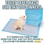 Pee pads | TOILET PAPER HACK FOR TINY DOG OWNERS; IF IT WORKS FOR THEM, IT CAN WORK FOR YOU!  JUST CUT INTO PIECES! 😜
FOLLOW ME FOR MORE HACKS!  😂😂😂 | image tagged in pee pads | made w/ Imgflip meme maker