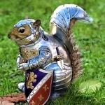 Squirel knight