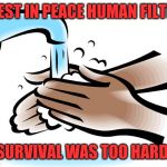 Seems like an easy solution | REST IN PEACE HUMAN FILTH; SURVIVAL WAS TOO HARD | image tagged in washing hands,coronavirus,pandemic,extinction,sanitation | made w/ Imgflip meme maker