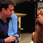 Turner and Hooch