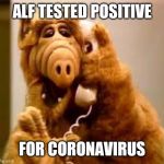 alf | ALF TESTED POSITIVE; FOR CORONAVIRUS | image tagged in alf | made w/ Imgflip meme maker