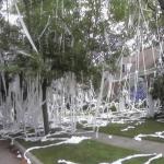 Toilet papered house