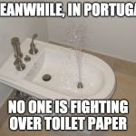 no toilet paper | MEANWHILE, IN PORTUGAL; NO ONE IS FIGHTING OVER TOILET PAPER | image tagged in toilet paper,portugal,coronavirus | made w/ Imgflip meme maker