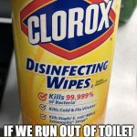 2 Birds / 1 Stone | TOLD MY KIDS DON'T PANIC; IF WE RUN OUT OF TOILET PAPER, I GOT YA COVERED | image tagged in clorox wipes,coronavirus,covid-19,toilet paper | made w/ Imgflip meme maker