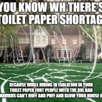 Toilet Paper house | YOU KNOW WH THERE'S A TOILET PAPER SHORTAGE? BECAUSE WHILE HIDING IN ISOLATION IN YOUR TOILET PAPER FORT PEOPLE WITH THE BIG BAD CORONAVIRUS CAN'T HUFF AND PUFF AND BLOW YOUR HOUSE DOWN! | image tagged in toilet paper house | made w/ Imgflip meme maker