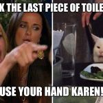 Karen vs Table Cat | YOU TOOK THE LAST PIECE OF TOILET PAPER! USE YOUR HAND KAREN! | image tagged in karen vs table cat | made w/ Imgflip meme maker