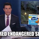 ABC fake news reports | THE ELUSIVE CHARMIN BEAR; DECLARED ENDANGERED SPECIES | image tagged in abc fake news reports | made w/ Imgflip meme maker