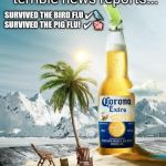 SURVIVORS CELEBRATE with CORONA EXTRA. #SurviveTheBeerFlu | Despite All the terrible news reports... SURVIVED THE BIRD FLU ✔🐦
SURVIVED THE PIG FLU!  ✔ 🐖; BEER FLU?🌞 NO PROBLEMO. | image tagged in survive the beer flu,covid-19,first world problems,coronavirus,corona,the great awakening | made w/ Imgflip meme maker