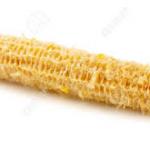 corn cob