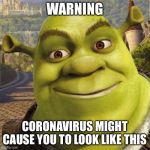 SHERK | WARNING; CORONAVIRUS MIGHT CAUSE YOU TO LOOK LIKE THIS | image tagged in sherk | made w/ Imgflip meme maker