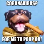 Triumph Comic To Poop On | CORONAVIRUS? FOR ME TO POOP ON! | image tagged in triumph comic to poop on | made w/ Imgflip meme maker