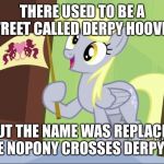 Derpy Hooves facts | THERE USED TO BE A STREET CALLED DERPY HOOVES; BUT THE NAME WAS REPLACED BECAUSE NOPONY CROSSES DERPY HOOVES | image tagged in derpy hooves facts | made w/ Imgflip meme maker