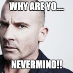 Dominic Purcell | WHY ARE YO.... NEVERMIND!! | image tagged in dominic purcell | made w/ Imgflip meme maker