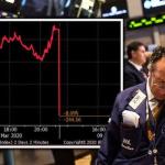 The Trump Economy Stock Market