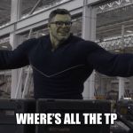 Hulk time travel | WHERE’S ALL THE TP | image tagged in hulk time travel | made w/ Imgflip meme maker