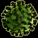 Coronavirus nightmare