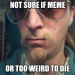 Weirdly self-aware hipster | NOT SURE IF MEME; OR TOO WEIRD TO DIE | image tagged in weirdly self-aware hipster | made w/ Imgflip meme maker