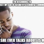mao mao | I'M BEGINNING TO SUSPECT MY CAT IS SECRETLY A CHINESE COMMUNIST. ALL SHE EVER TALKS ABOUT IS MAO. | image tagged in thinking man | made w/ Imgflip meme maker