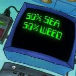 50% Sea 50% Weed meme