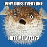 Corona-Blowfish | WHY DOES EVERYONE; HATE ME LATELY? | image tagged in corona-blowfish | made w/ Imgflip meme maker