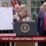 Trump National Emergency Meme