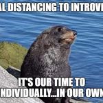 Introvert | SOCIAL DISTANCING TO INTROVERTS? IT'S OUR TIME TO SHINE...INDIVIDUALLY...IN OUR OWN HOMES | image tagged in introvert | made w/ Imgflip meme maker