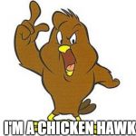chicken hawk | I'M A CHICKEN HAWK | image tagged in chicken hawk | made w/ Imgflip meme maker