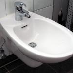 French bidet