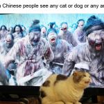 Vampires | When Chinese people see any cat or dog or any animal: | image tagged in vampires | made w/ Imgflip meme maker