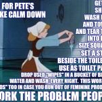 Featured image of post Funny Cinderella Cleaning Meme 33 cleaning memes for 2020