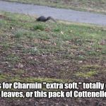 Dad | Me as Dad looks for Charmin "extra soft," totally clueless that by this point, it is either leaves, or this pack of Cottenelle I got stashed back. | image tagged in dad | made w/ Imgflip meme maker