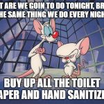 pinky and the brain | WHAT ARE WE GOIN TO DO TONIGHT, BRAIN?
THE SAME THING WE DO EVERY NIGHT; BUY UP ALL THE TOILET PAPER AND HAND SANITIZER | image tagged in pinky and the brain | made w/ Imgflip meme maker