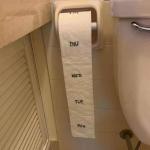 Toilet paper meme