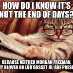 Intelligent Cat | HOW DO I KNOW IT’S NOT THE END OF DAYS? BECAUSE NEITHER MORGAN FREEMAN, DANNY GLOVER OR LOU GOSSET JR. ARE PRESIDENT | image tagged in intelligent cat | made w/ Imgflip meme maker
