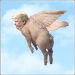 Pigs  fly, but come down as bacon. Trump