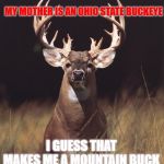 buck deer | MY FATHER WAS A W.V. MOUNTAINEER; MY MOTHER IS AN OHIO STATE BUCKEYE; I GUESS THAT MAKES ME A MOUNTAIN BUCK | image tagged in buck deer,ohio state buckeyes,west virginia,memes | made w/ Imgflip meme maker