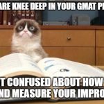 Grumpy Cat Studying | WHEN YOU ARE KNEE DEEP IN YOUR GMAT PREPARATION; BUT CONFUSED ABOUT HOW TO TRACK AND MEASURE YOUR IMPROVEMENT! | image tagged in grumpy cat studying | made w/ Imgflip meme maker